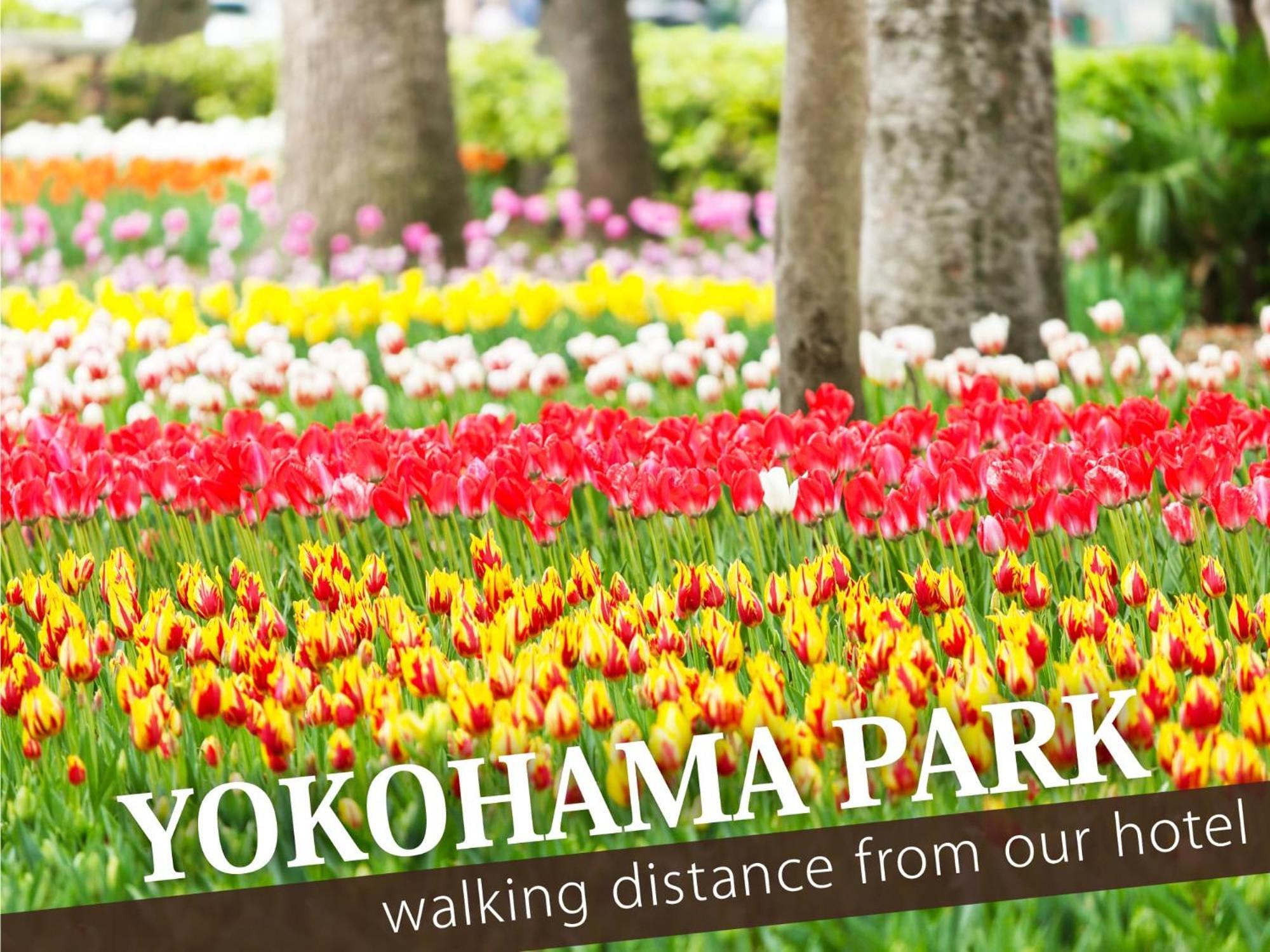 Hotel Balibali 伊勢佐木 Yokohama  Esterno foto
